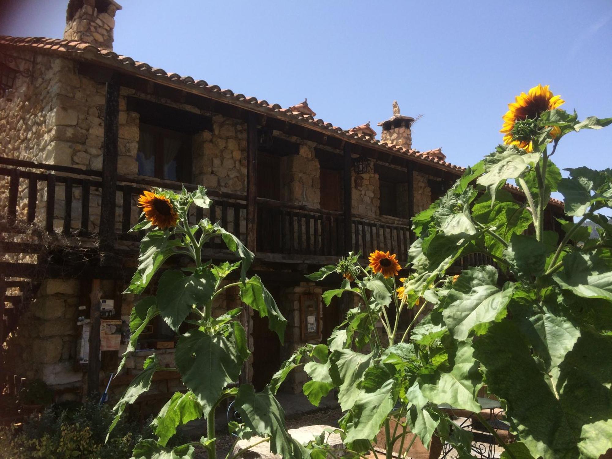 Casas Rurales Chon Alto Tajo Peralejos de las Truchas Exterior photo